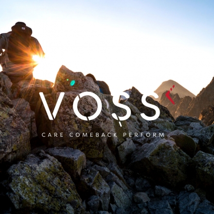 pexels-photo-91226_VossLogo